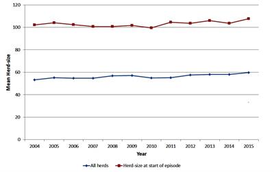 Trends and Predictors of Large Tuberculosis Episodes in Cattle Herds in Ireland